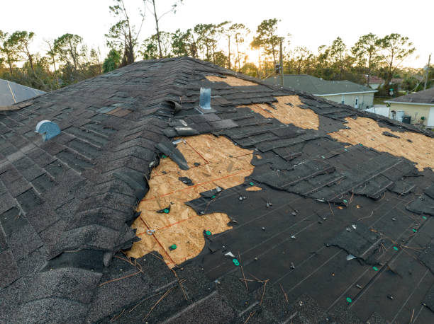 Best Roof Leak Repair  in Mantua, VA